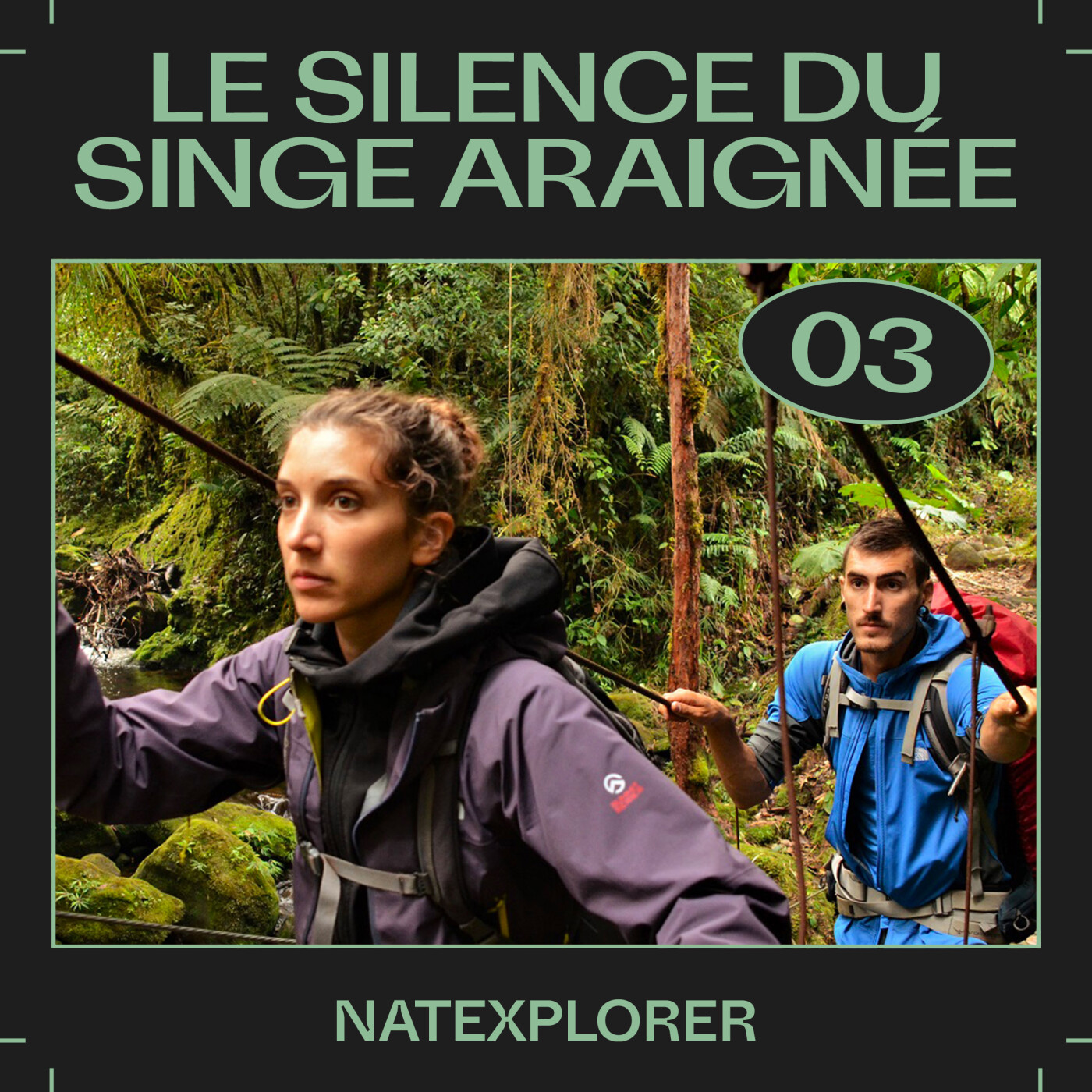 #03 â Le silence du singe araignĂ©e, avec Natexplorers