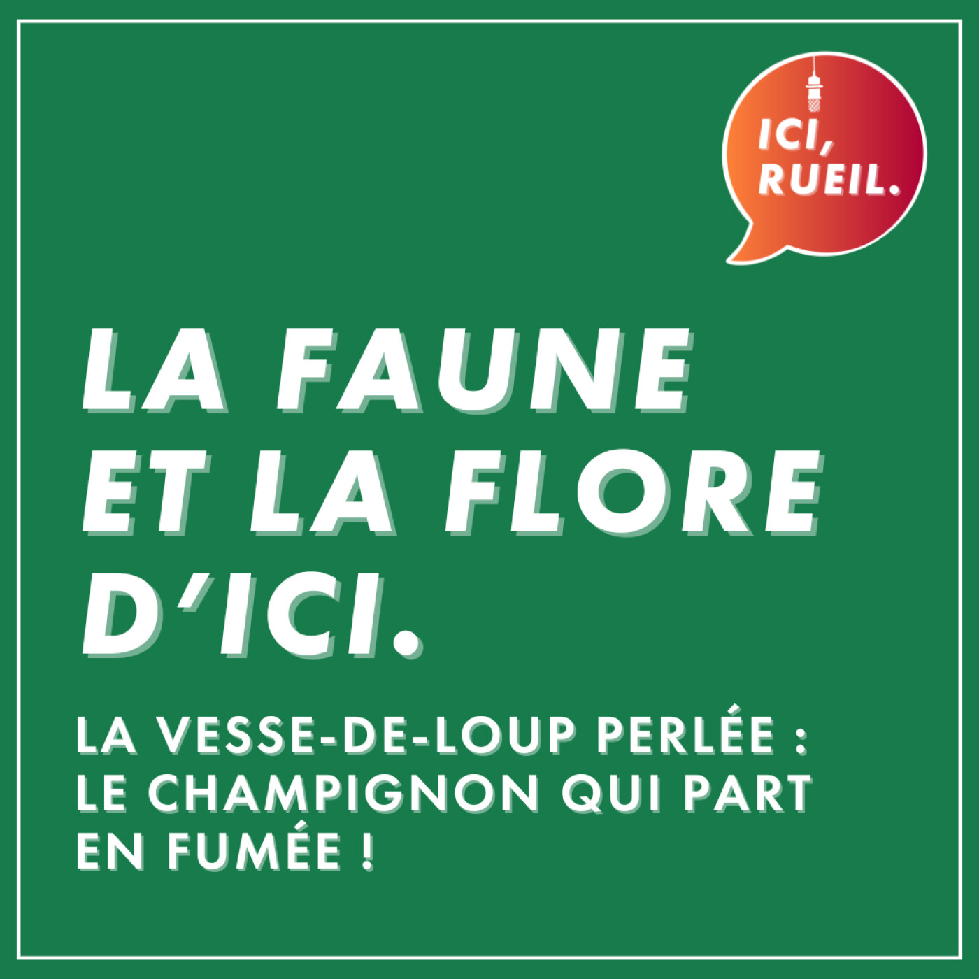 La Faune et la Flore d'Ici : La vesse-de-loup perlée, le champignon qui part en fumée ! episode artwork
