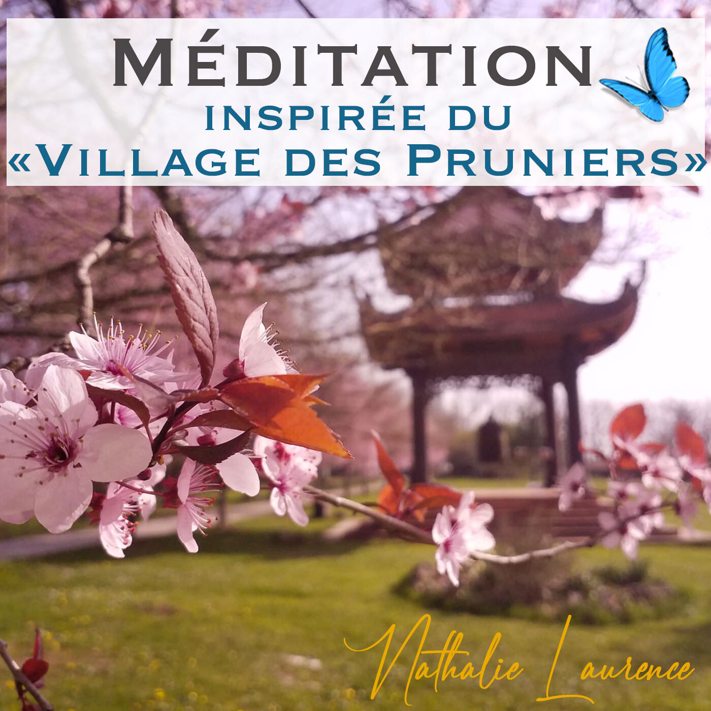 Podcast et Méditations par Nathalie LAURENCE