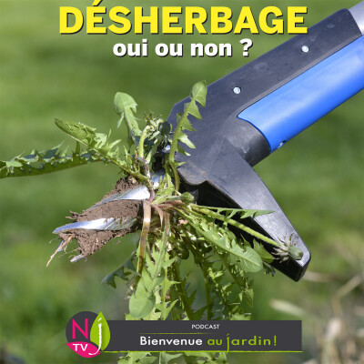 #83: PAROLES D'EXPERTS: LE DÉSHERBAGE EST-IL VRAIMENT UTILE ? cover