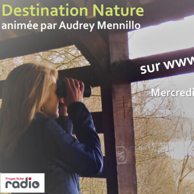 DESTINATION NATURE - Stéphane Bellenoue cover