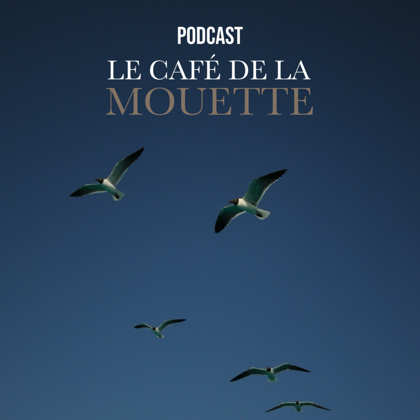 Le Café de la Mouette, les présentations