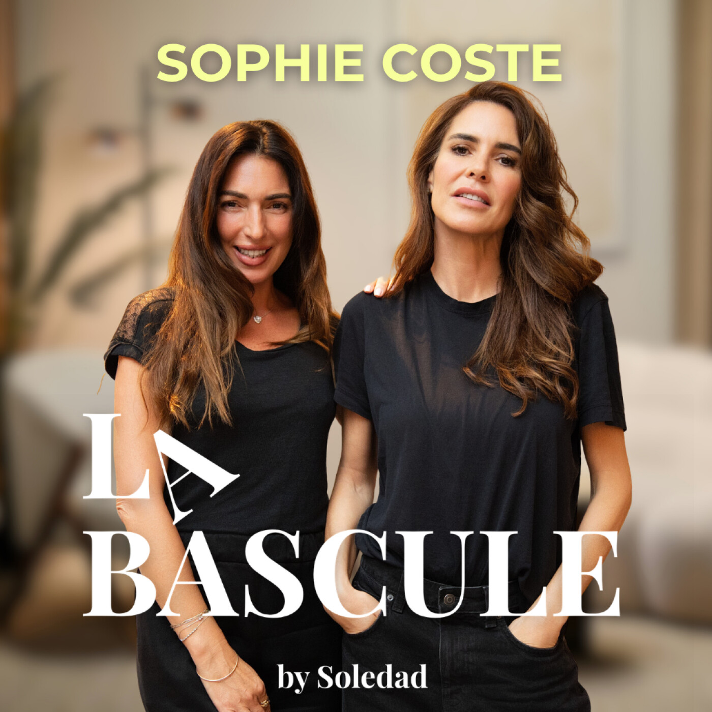 Comment un pervers narcissique détruit sa proie… et comment Sophie Coste en a fait un roman episode artwork