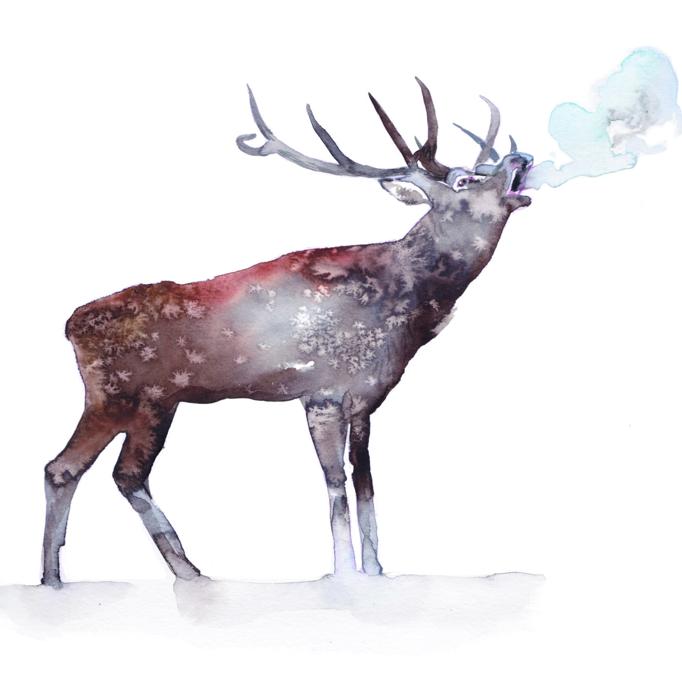 Val d'Argent : La médiathèque fait sa rentrée autour des animaux episode artwork