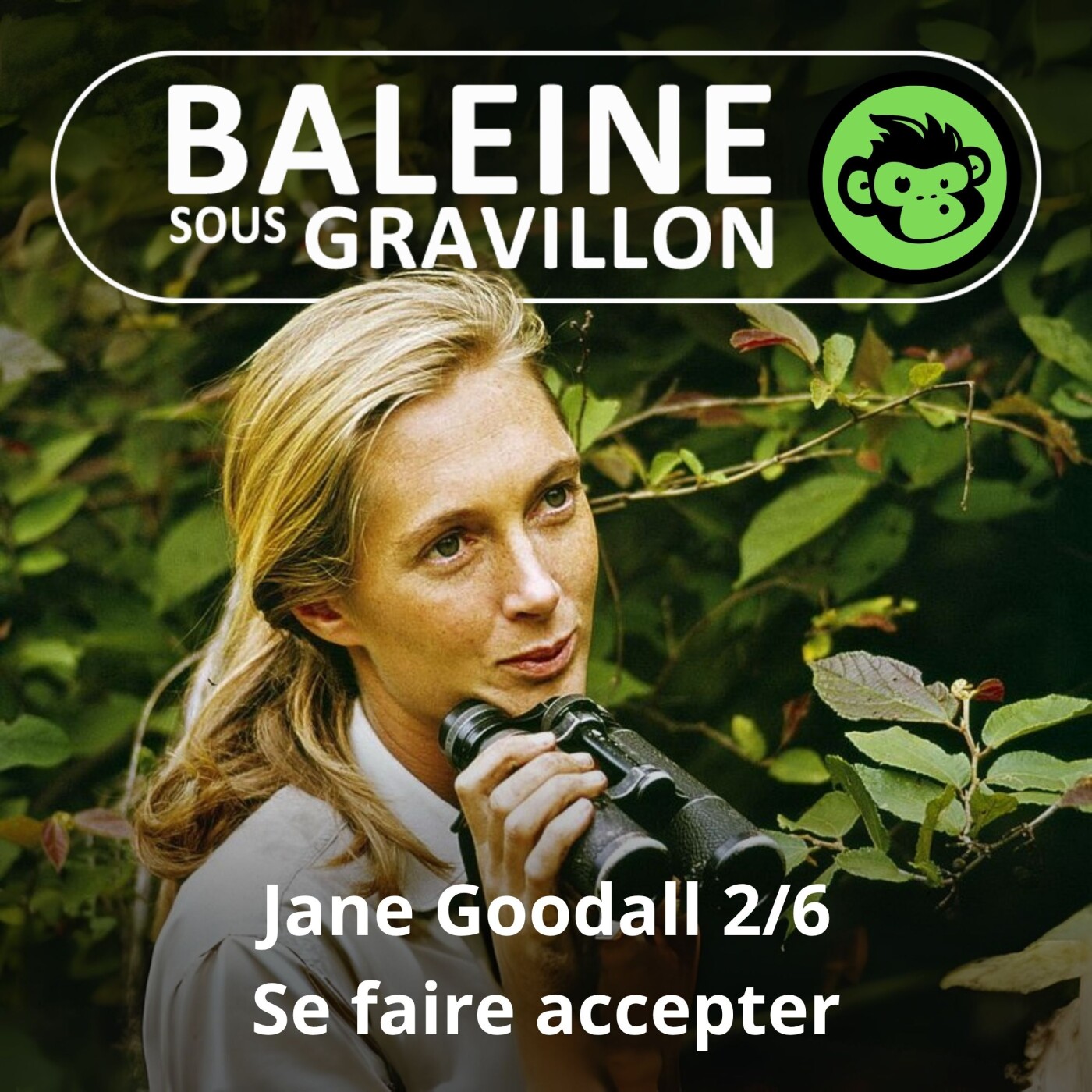 S07E22 Jane Goodall 2/6 : 5 mois... pour se faire accepter des chimpanzés (Emmanuelle Grundmann)