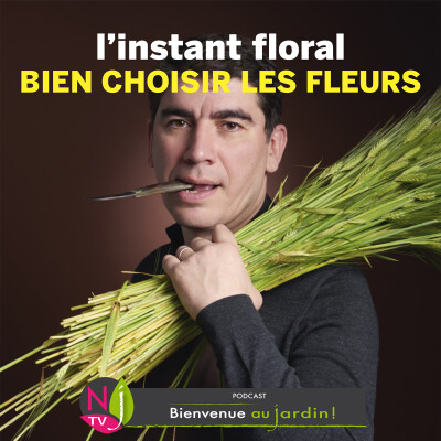 #84: L’INSTANT FLORAL : BIEN CHOISIR LES FLEURS À BOUQUETS cover