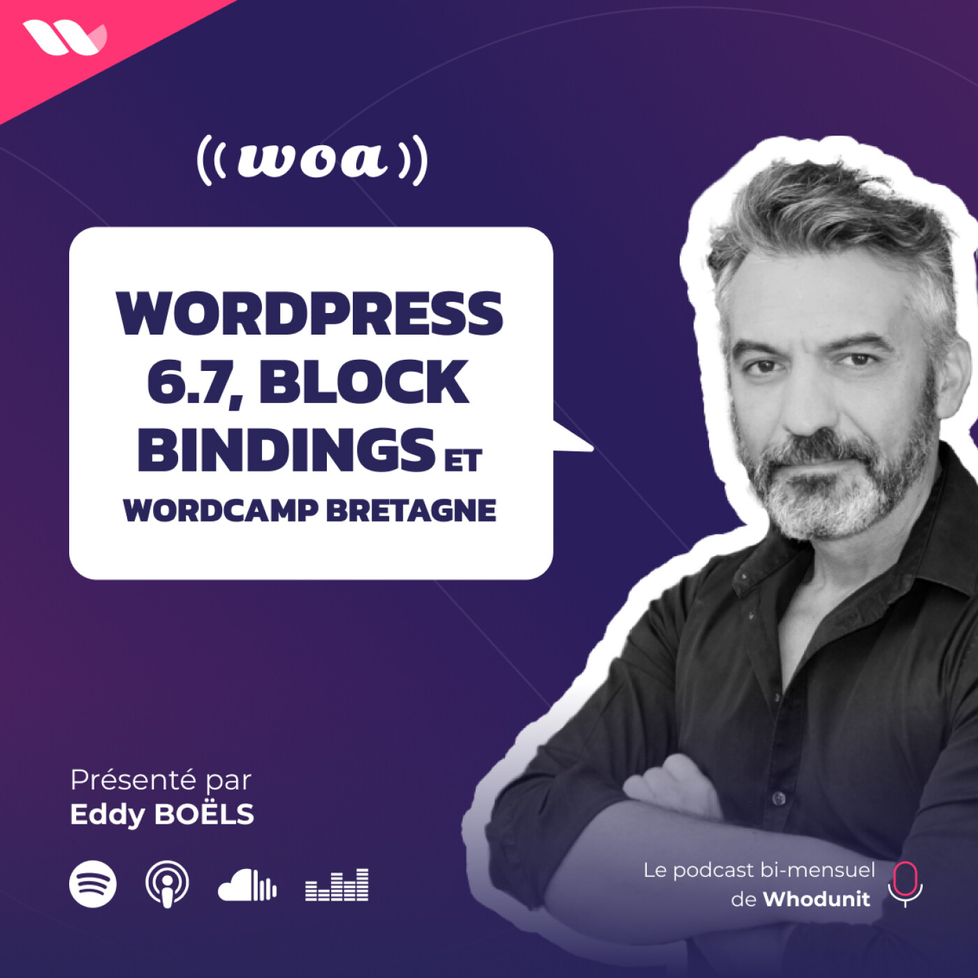 #40 - WordPress 6.7, Block bindings et WordCamp Bretagne