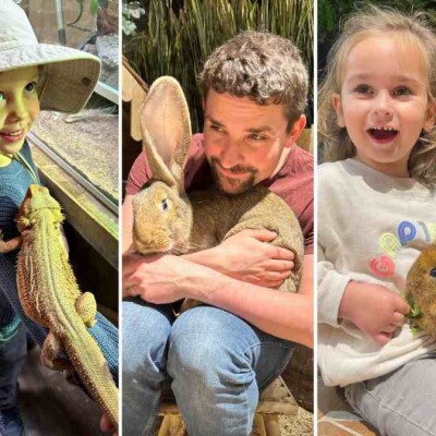 Deux sorties familiales à ne pas manquer : cinéma d’animation ou immersion animalière à Paris ! cover