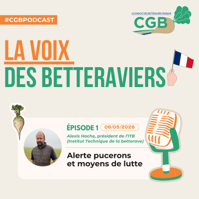 Episode 1 - Alerte pucerons et moyens de lutte cover
