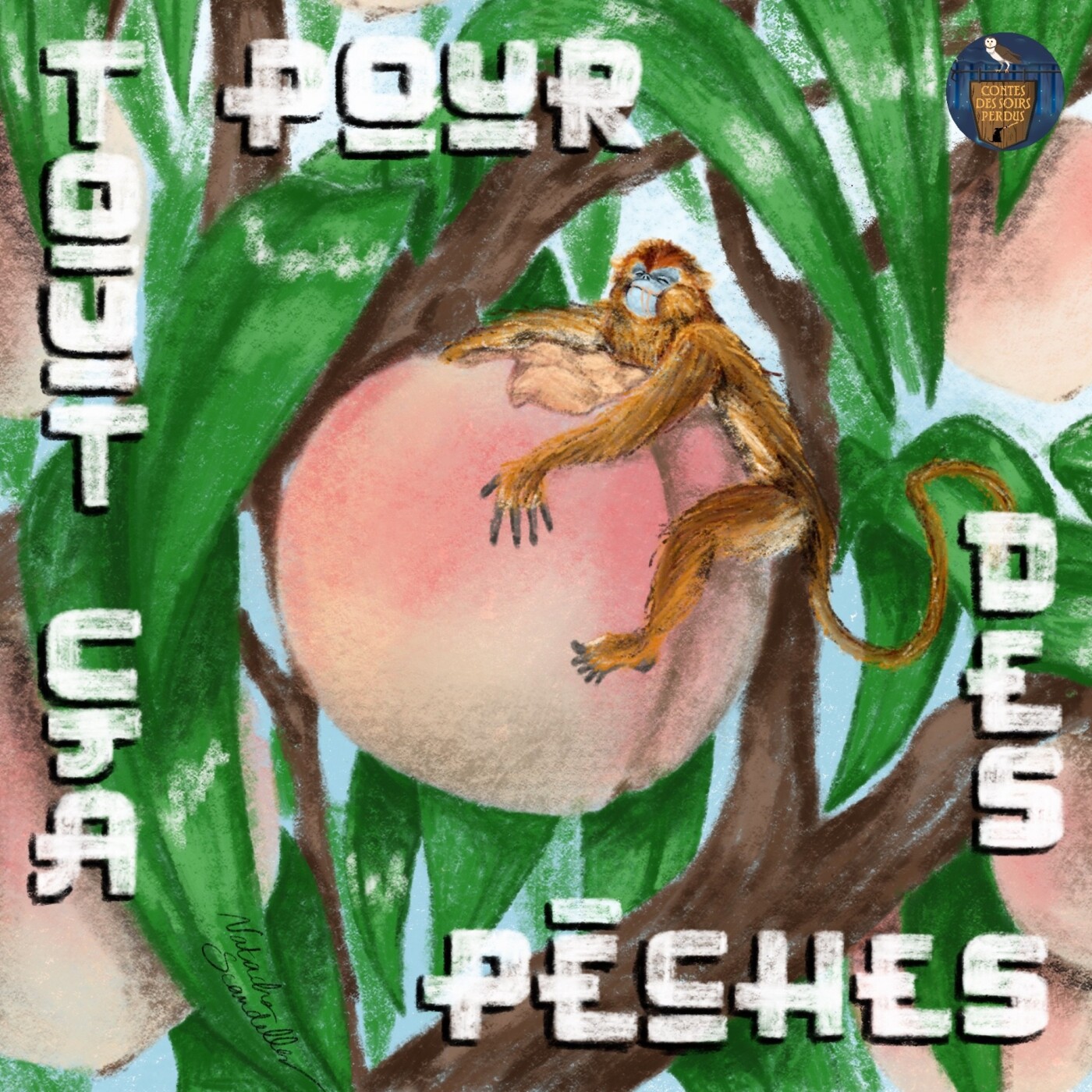 Contes des Soirs Perdus