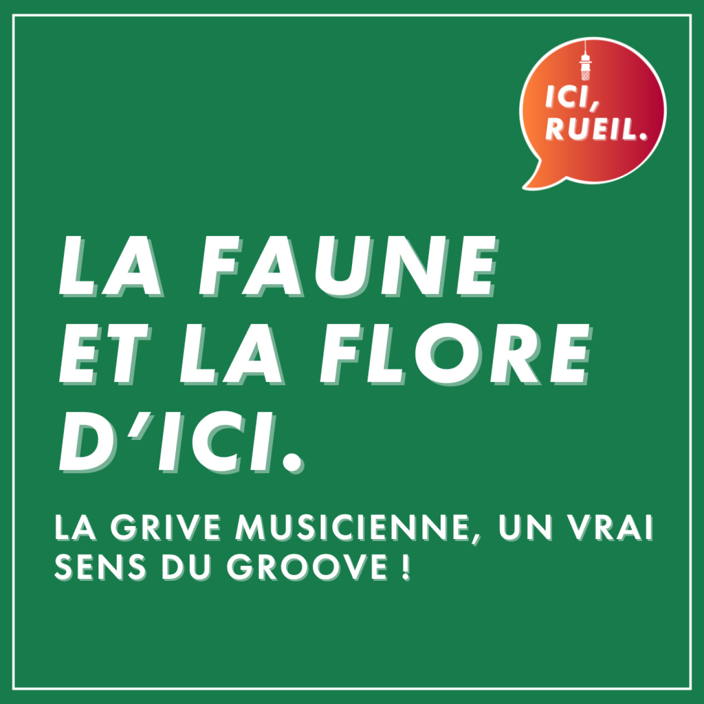 La Faune et la Flore d’Ici : La grive musicienne, un vrai sens du groove !