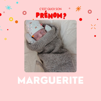 Marguerite : sur les traces de son arbre généalogique cover