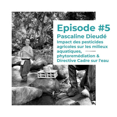 #5 - Pascaline Dieudé : Impact des pesticides agricoles sur les milieux aquatiques en Martinique cover