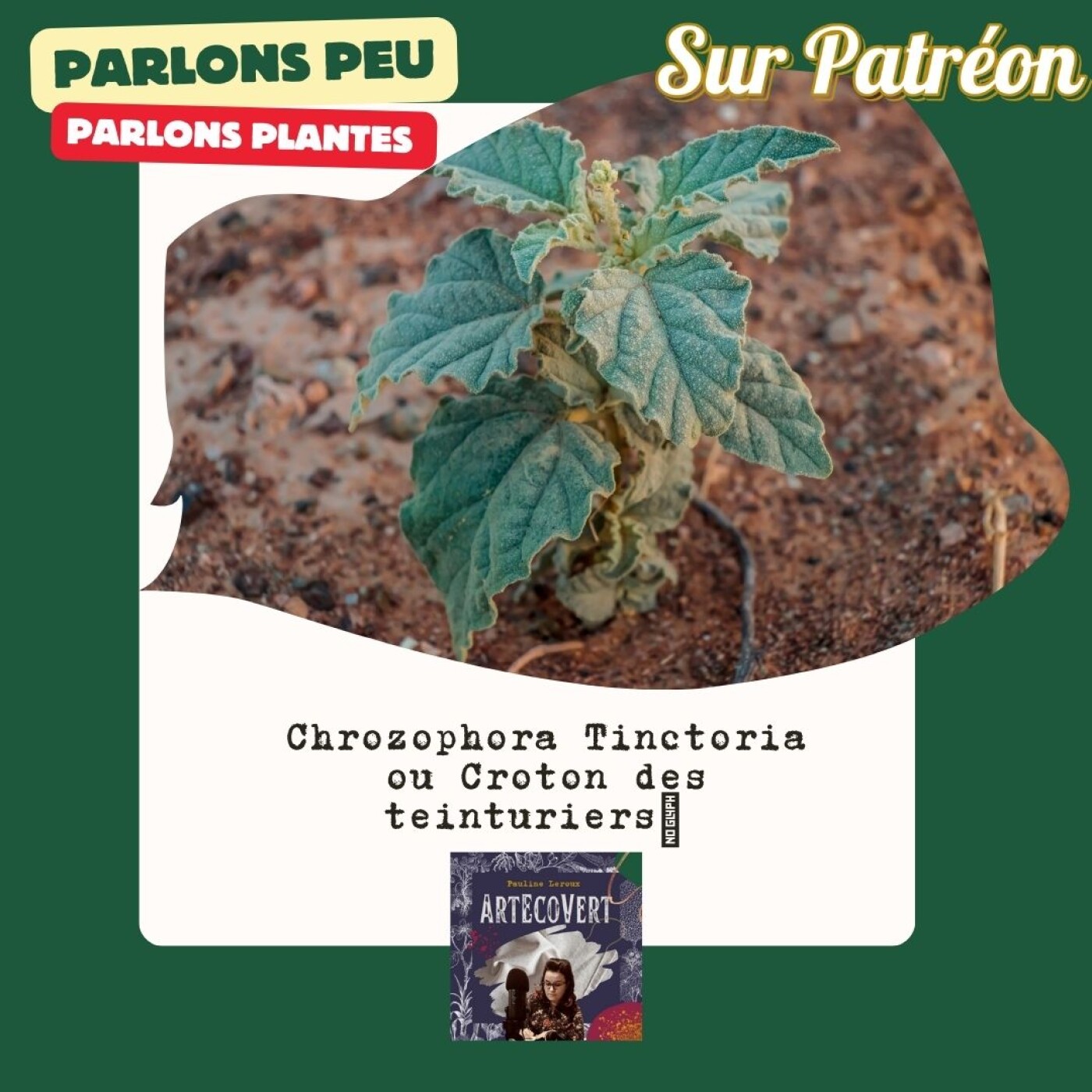 ArtEcoVert La voix de la couleur végétale et des plantes tinctoriales