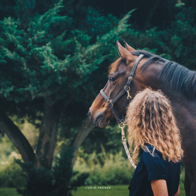 🔮 Ce n’est pas votre équipe, ni votre cheval : c’est votre état d’être cover