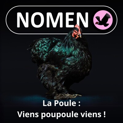 S02E06 La Poule : Viens poupoule viens ! Mais ... d'où viens-tu au fait ? cover