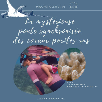 EP 46 - La mystérieuse ponte synchronisée des coraux Porites rus cover