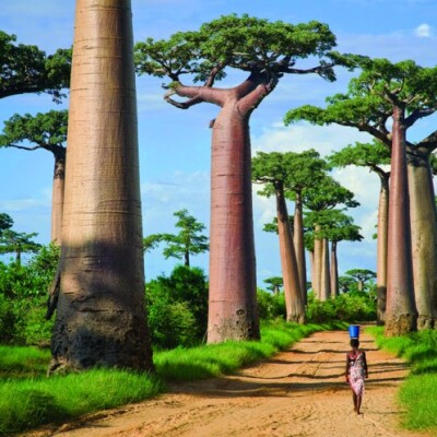 Interview Stagiaire Découvrez Madagascar ! cover