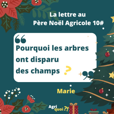 Lettre au Père Noël agricole 10 : Pourquoi les arbres ont disparu des champs ? cover