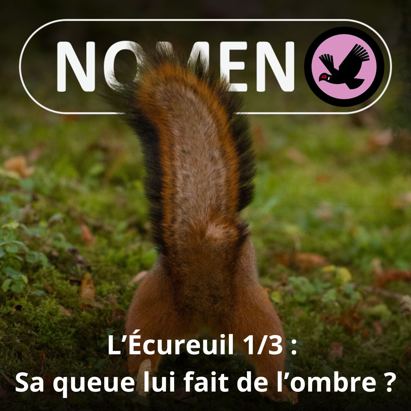 S05E41 L'Écureuil 1/3 : "Celui qui vit à l'ombre de sa queue"