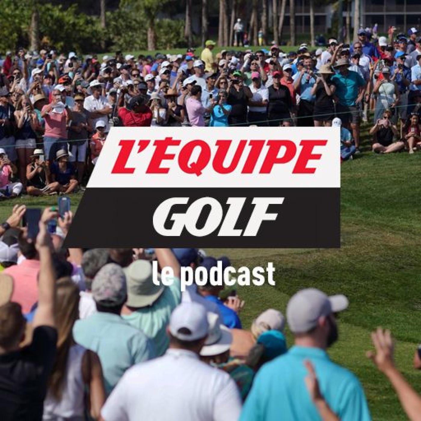 Attitude du public, Tiger Woods et Laura Flessel