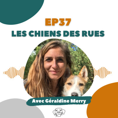 #REDIFF - Géraldine Merry (VoxCanis) : Les chiens des rues cover