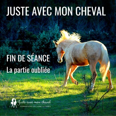 Fin de séance : la partie oubliée cover