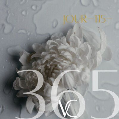 LIVE 365•115 Comme diraient mes guides « Pourquoi vous compliquez vous autant ? » cover