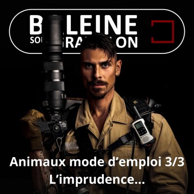 S07E61 Animaux mode d'emploi 3/3 : Prospérité, imprudences et donc... cicatrices (Yvan Kereun) cover