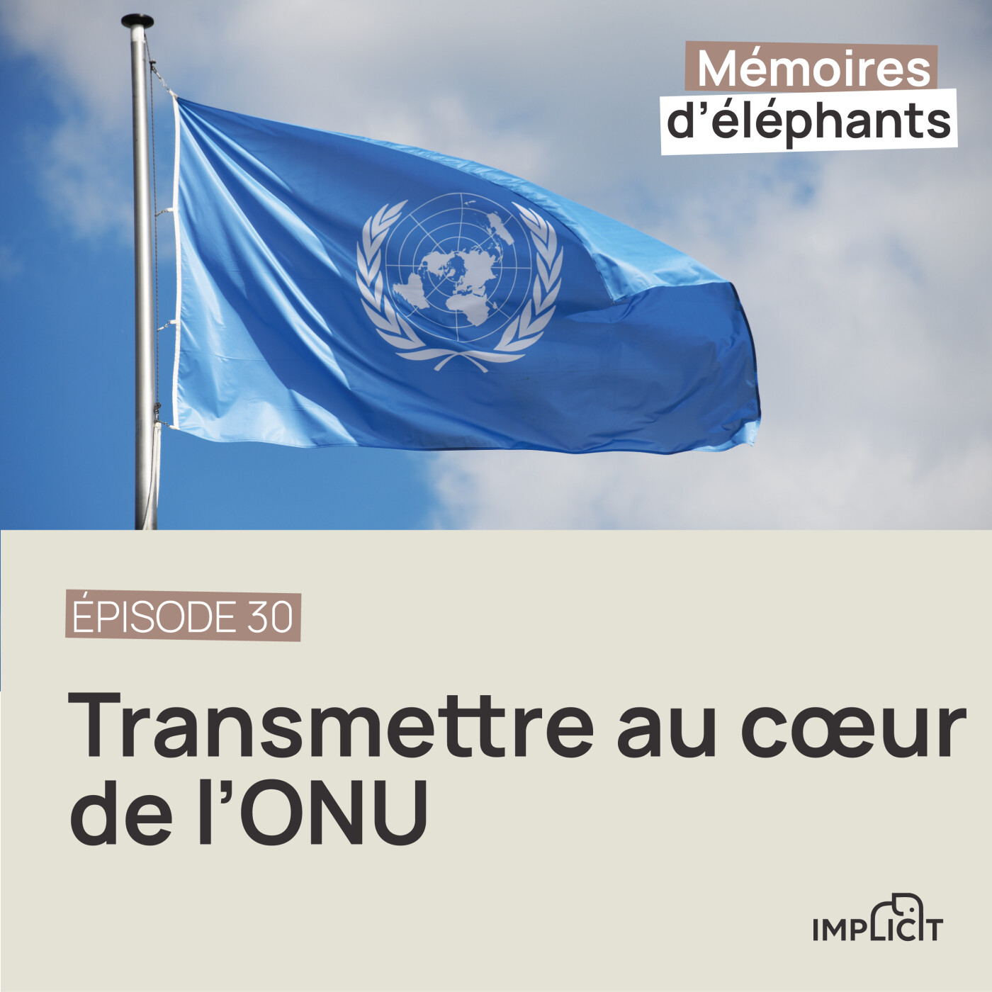 #30 - Transmettre au cœur de l'ONU (avec Lydia De Bortoli)