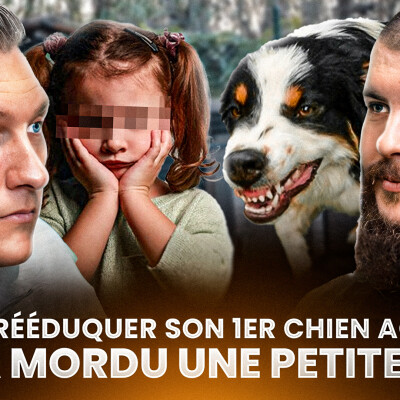 "Les propriétaires pensaient que c’était un chien de combat" - Martin ED PRO cover