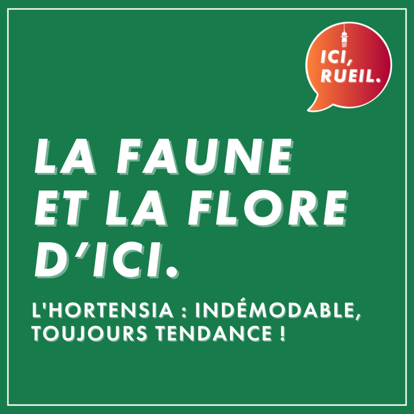 La Faune et la Flore d'Ici : L'hortensia, indémodable, toujours tendance ! episode artwork
