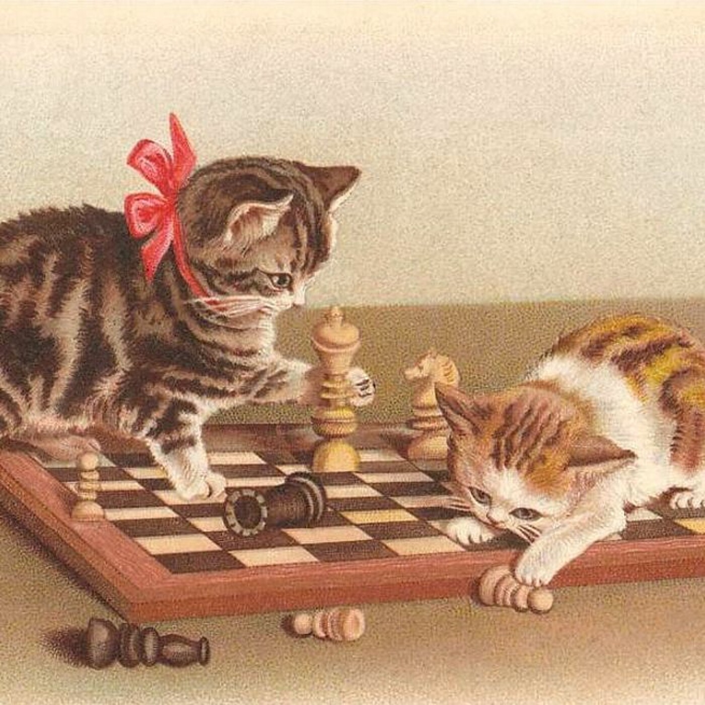 Bonus 7 - Le Chat Voleur De Jeux De Société