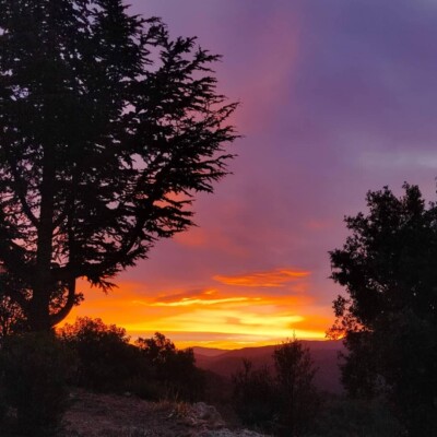 Ep 64 : Chloé 3/4 : Début de parcours pma, comment gérer l'attente des rdv ? cover