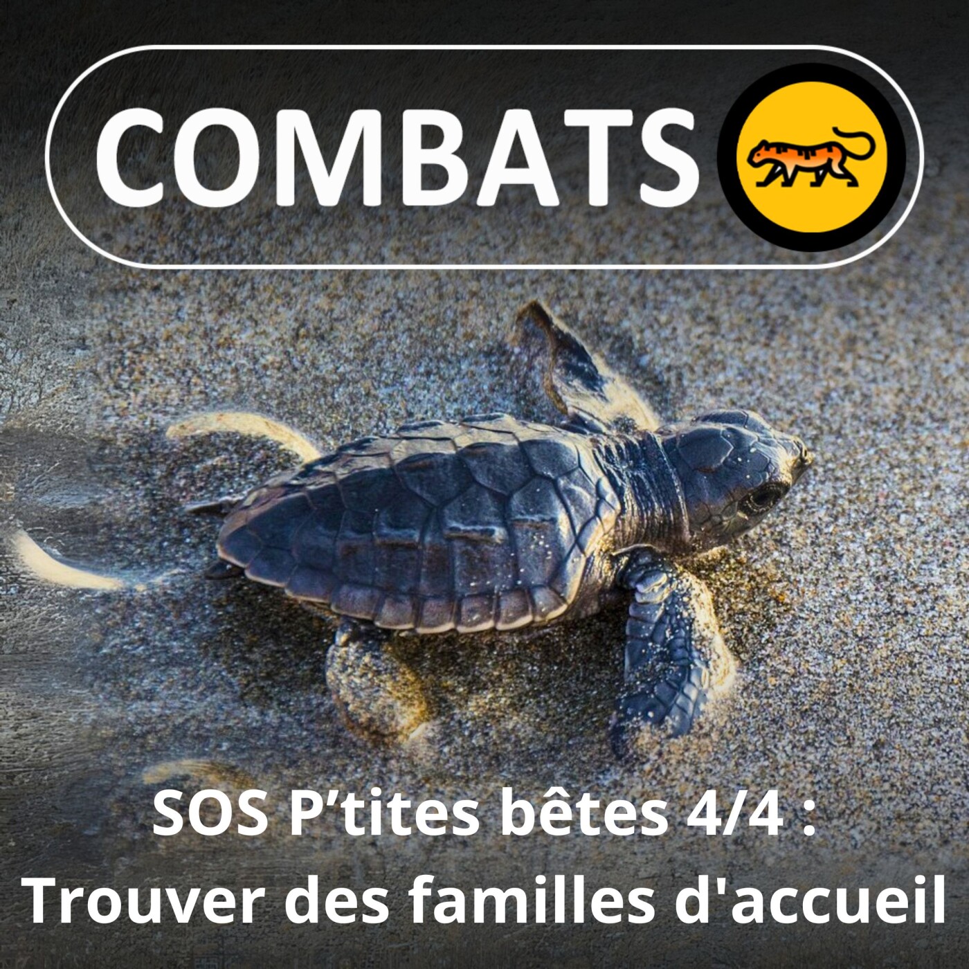 S01E37 SOS P'tites Bêtes 4/4 : Soigner les reptiles et leur trouver des familles d'accueil (Abel Jeudon)
