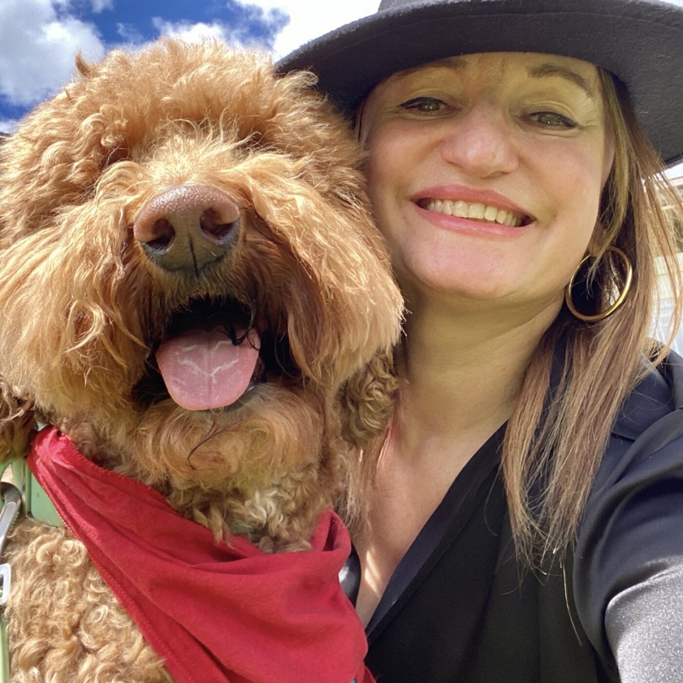 From Woofs to Wows: Exploring the Benefits of Therapy Dogs in Schools