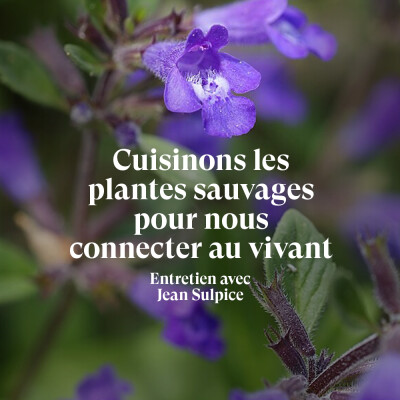 "J'ai l'impression que la nature me parle" - Entretien avec Jean Sulpice, chef doublement étoilé ⭐⭐ cover