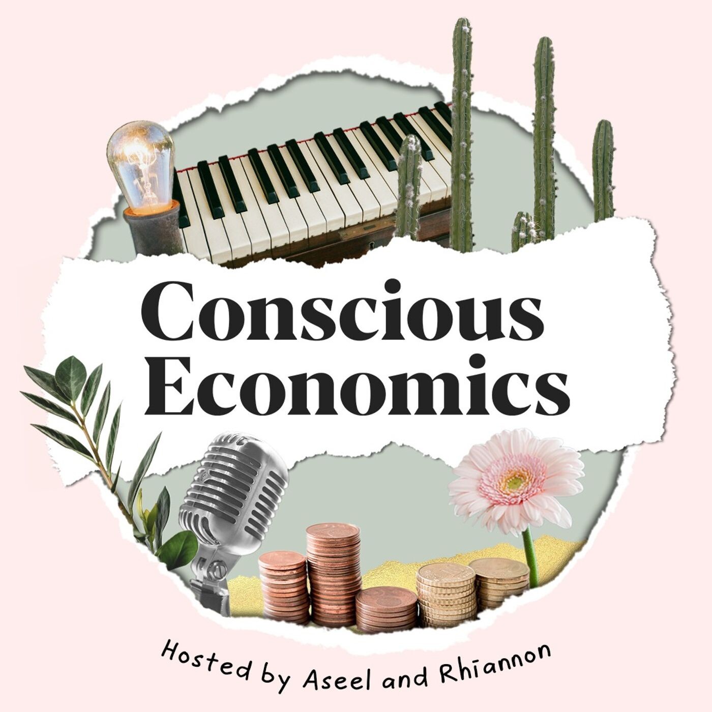 The Conscious Economics Podcast