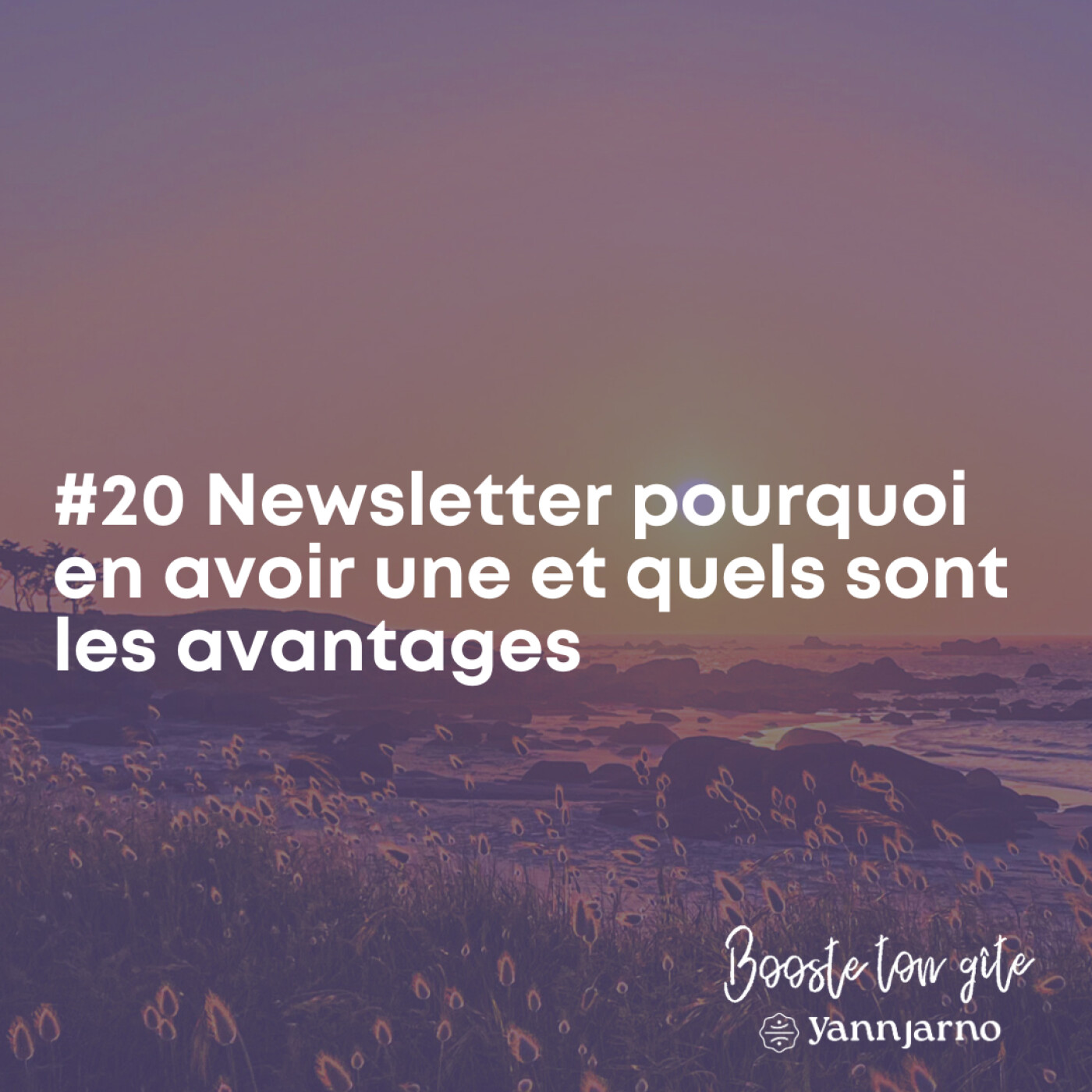 #20 Newsletter pourquoi en avoir une et quels sont les avantages