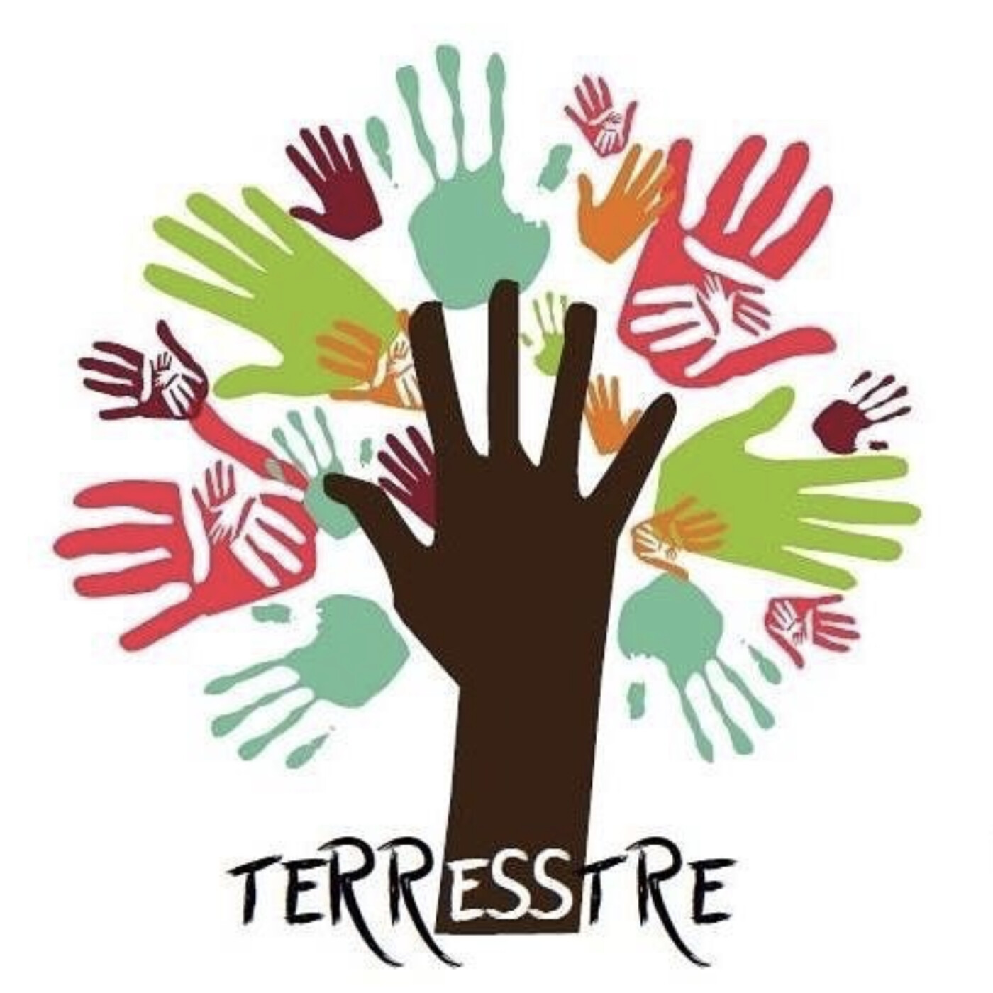 TerrESStre, les étudiantes du master ESS episode artwork
