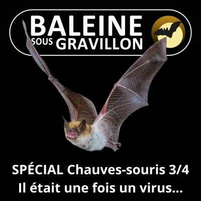SPÉCIAL Chauves-souris 3/4 : Il était une fois un virus chinois cover