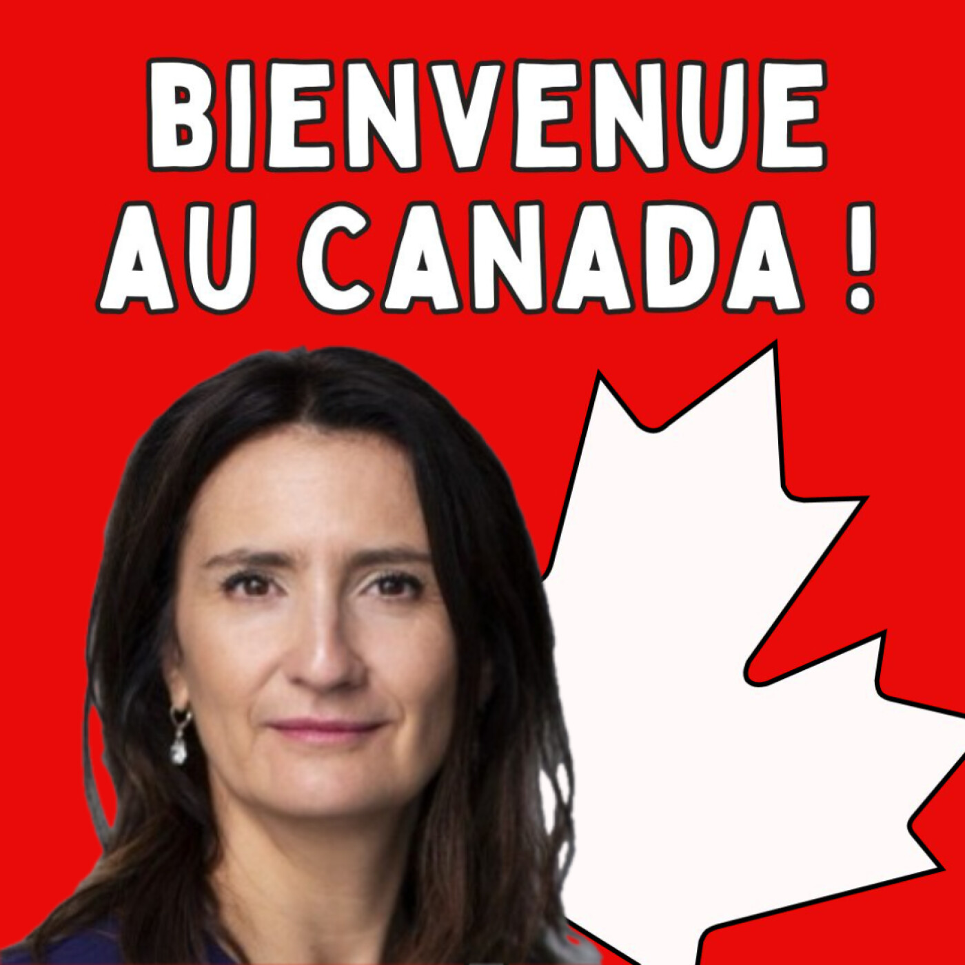 116. France-Québec : 5 pièges juridiques à anticiper, avec Me Nathalène Chapuis, notaire en France et au Québec (Expert)