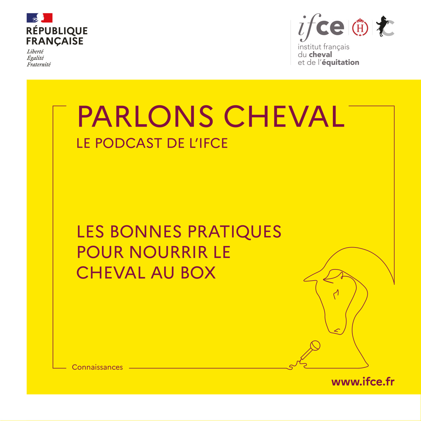 Ép. 15 | Les bonnes pratiques pour nourrir le cheval au box - Pauline Doligez