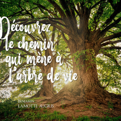 Découvrez le chemin qui mène à l'arbre de vie cover