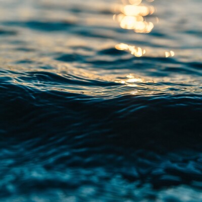 Trajectoires poétiques, des parcours, des éxils cover