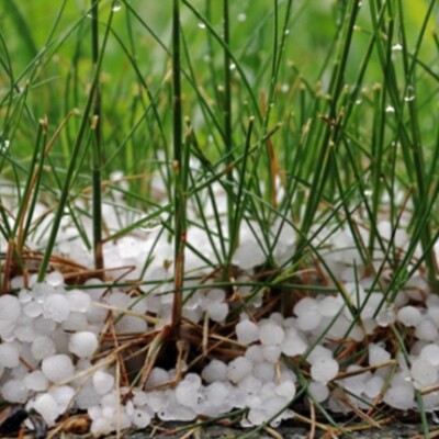 C'est le retour des fameuses giboulées de mars ! cover