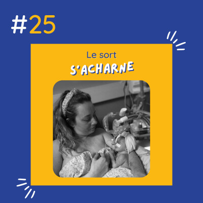 Le sort s'acharne cover