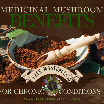 Medicinal Mushroom Benefits for Chronic Conditions~ cover