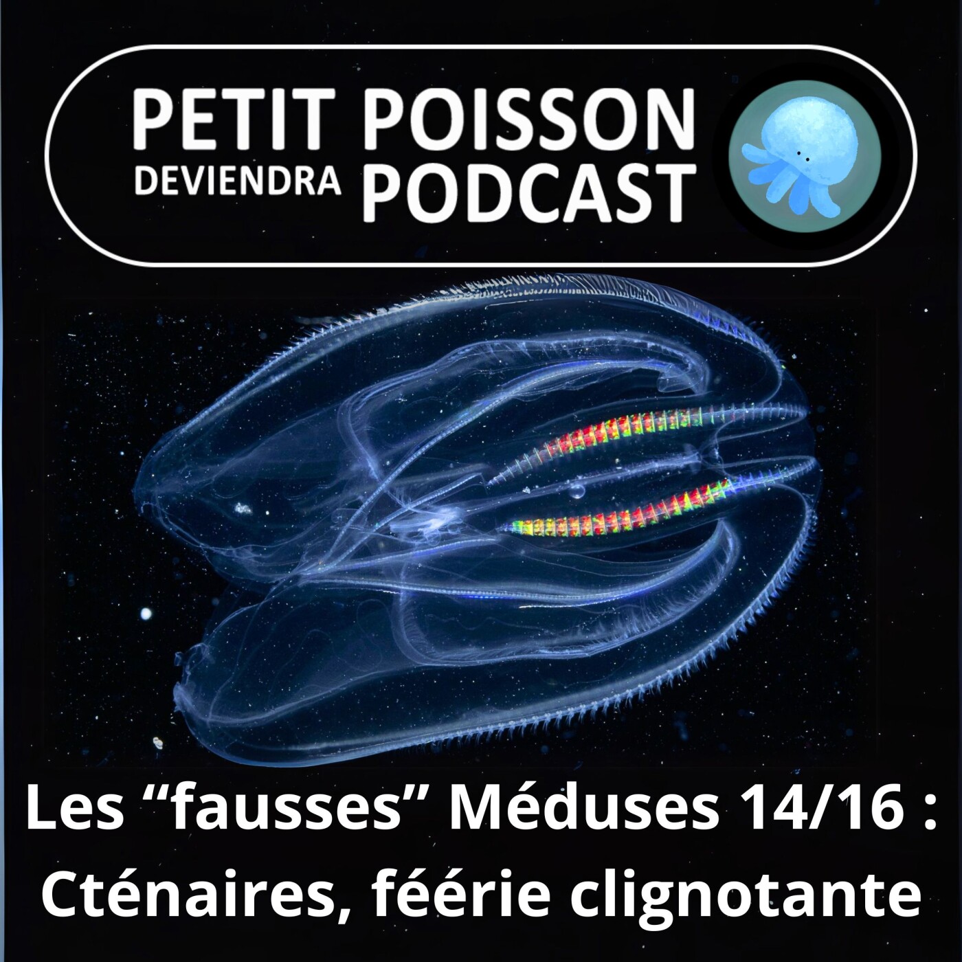 Petit Poisson deviendra Podcast
