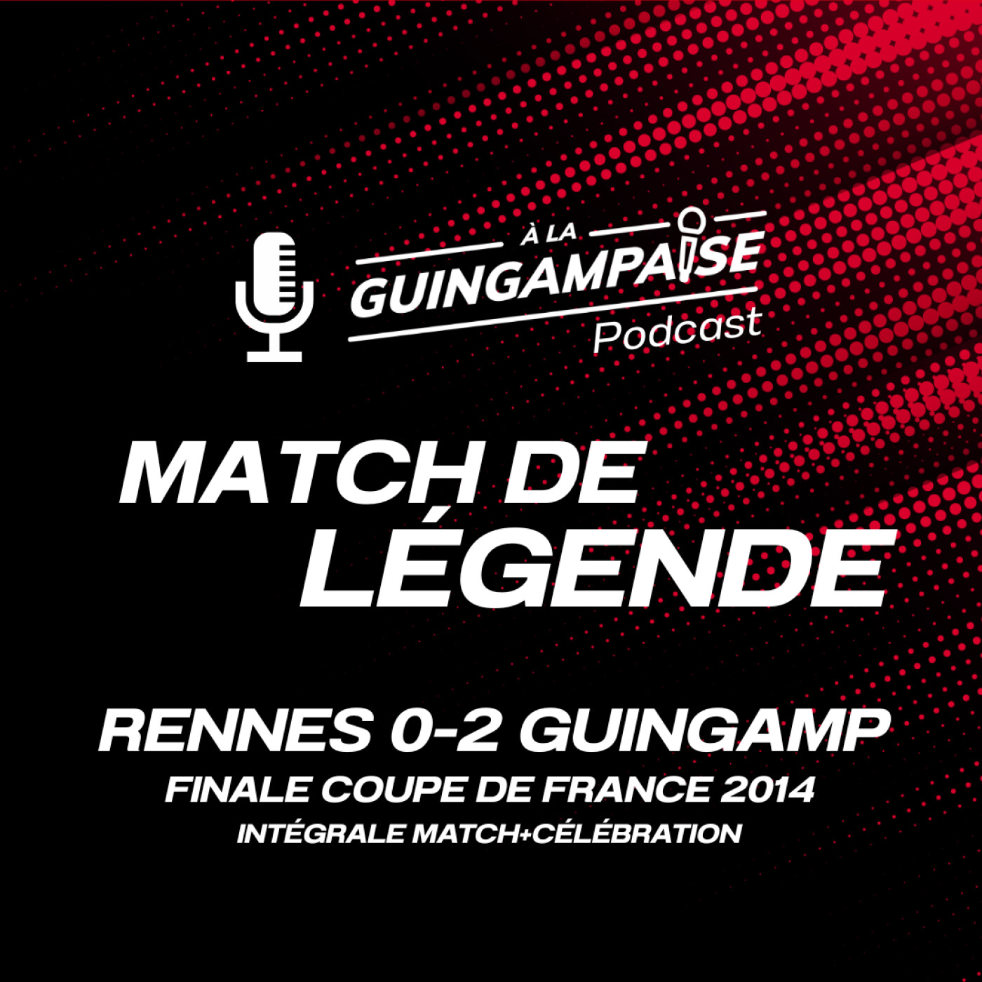 Match de Légende %233 : Rennes-Guingamp Finale 2014